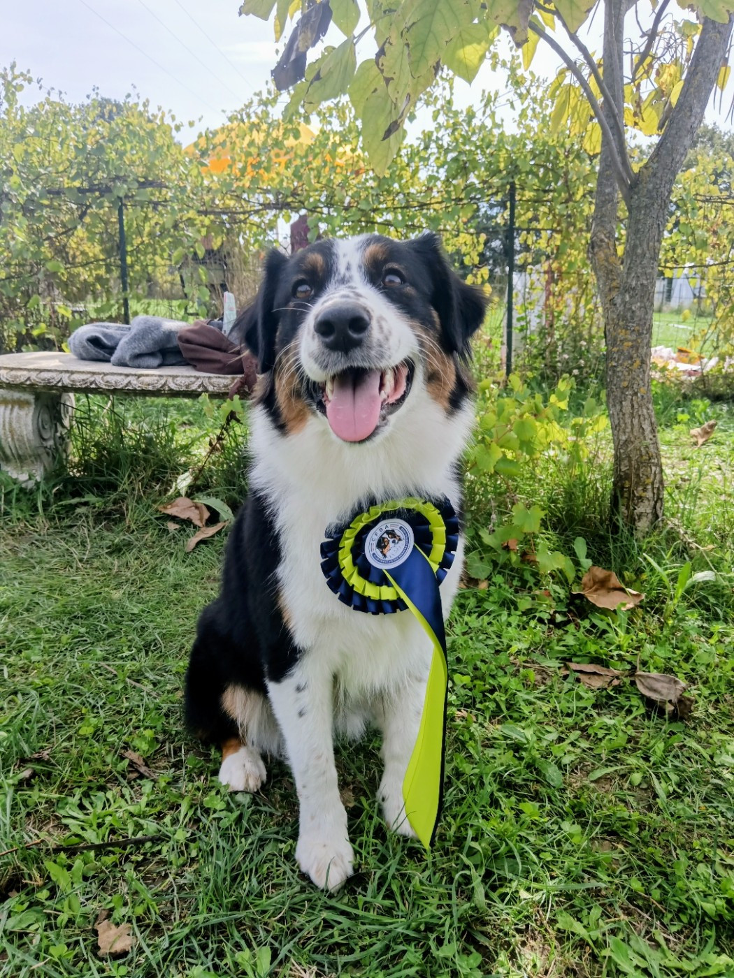 VEGAS MISSOURI de Sweet Australian